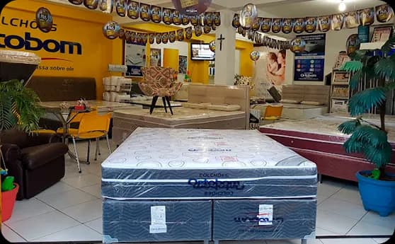 Quem somos: 15 anos Quem Somos: 15 anos